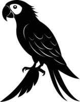 Black parrot silhouette on white background illustration vector