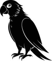 Black parrot silhouette on white background illustration vector