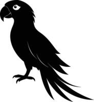 Black parrot silhouette on white background illustration vector