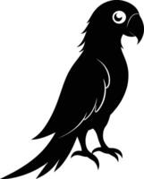 Black parrot silhouette on white background illustration vector