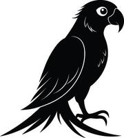 Black parrot silhouette on white background illustration vector