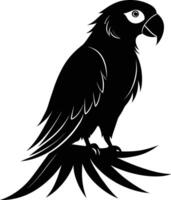 Black parrot silhouette on white background illustration vector