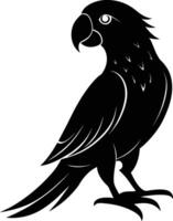 Black parrot silhouette on white background illustration vector