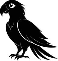 Black parrot silhouette on white background illustration vector