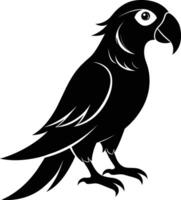 Black parrot silhouette on white background illustration vector