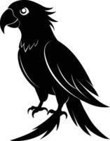 Black parrot silhouette on white background illustration vector