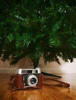 Vintage camera under bare artificial christmas tree photo