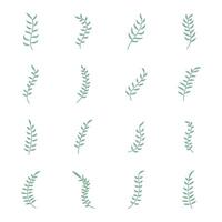 Green leaves aesthetic element isolated illustration. vector