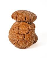 white background Warm Homemade Gingersnap Cookies photo