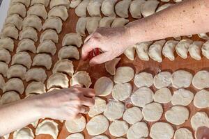 Female hands are making a damp dumpling. On the wooden counter photo