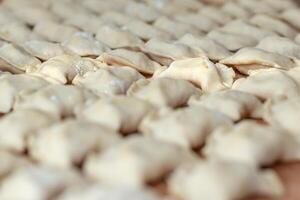 Beautiful rows with dumplings. Ukrainian national dish. Close-up.. photo