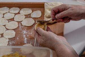 Woman hands are making a damp dumpling. . photo