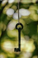 Ancient wrought iron key hanging between branches. photo