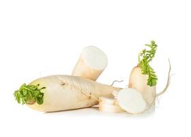 Raw Daikon radish photo