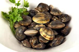 White bowl of clams with parsley photo