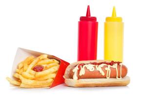 Fresh and tasty hot dog with fried potatoes photo