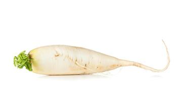 Raw Daikon radish photo