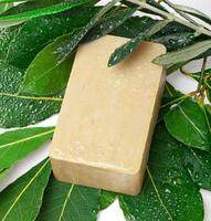 Aleppo soap and laurel photo