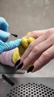 manikyr, vertikal närbild. svart schellack är applicerad till en kvinnors hand i en nagel salong. video