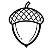 Acorn line art design vector