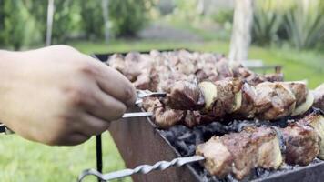 Grilled skewers of meat . The backdrop of green plants adds contrast and freshness to the scene. video