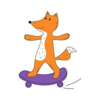 Cute fox on the skateboard. Sports animal. Active lifestyle. Doodle, drawing. illustration on white isolated background. vector