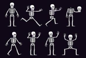 Halloween cartoon skeleton in different position vector