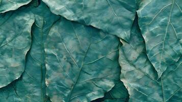 green leaf texture background. photo