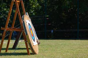 Arrows embedded in row of archery targets. photo