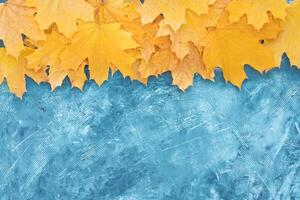 Autumn leaves frame on blue background top view Fall Border yellow and Orange Leaves vintage structure table Copy space for text. photo