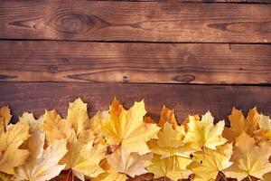 Autumn leaves frame on wooden background top view photo