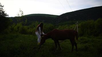 un mujer es caricias un marrón caballo en un herboso campo. el escena es pacífico y sereno, con el mujer y el caballo disfrutando cada otros compañía. video