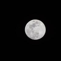 luna llena en el cielo oscuro durante la noche, gran superluna en el cielo foto