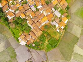 Aerial shot of the village surrounded by large rice fields. Aerial view of settlements in the rice fields in Rancaekek, Bandung - Indonesia. Above. Agriculture Industry. Shot from drone flying photo