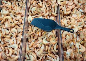 A black scoop and freshly frozen shrimps are in the shop window photo