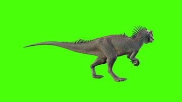 dinosaurio Mira alrededor verde pantalla video
