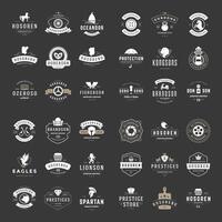 Vintage Logos Design Templates Set. vector