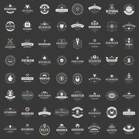 Vintage Logos Design Templates Set. vector