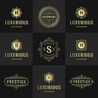 Vintage logos and monograms set elegant flourishes line art graceful ornaments victorian style template design vector