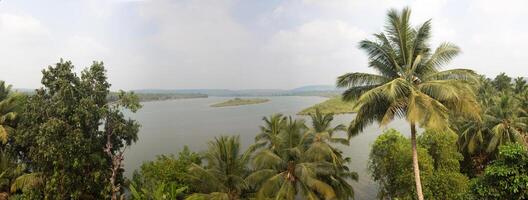 landscape of the river photo