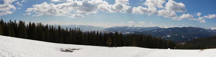 Panorama of forest and mountains photo