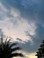 A serene twilight sky featuring a delicate crescent moon, silhouetted palm fronds, and a soft gradient of dusk colors photo