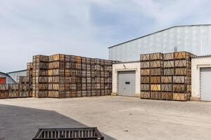 rows of wooden crates boxes and pallets for fruits and vegetables in storage stock on agro processing complex photo