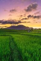 hermosa Mañana ver desde Indonesia de montañas y tropical bosque foto