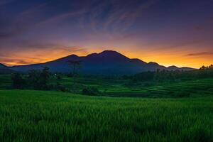 beautiful morning view from Indonesia of mountains and tropical forest photo