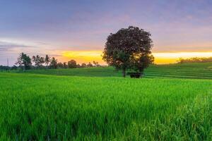 beautiful morning view from Indonesia of mountains and tropical forest photo