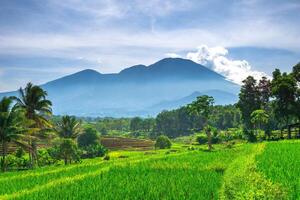 hermosa Mañana ver desde Indonesia de montañas y tropical bosque foto