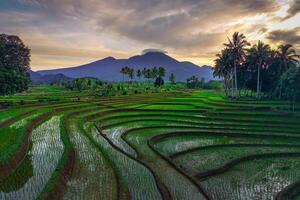 hermosa Mañana ver desde Indonesia de montañas y tropical bosque foto