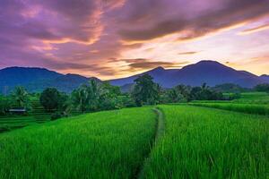 beautiful morning view from Indonesia of mountains and tropical forest photo