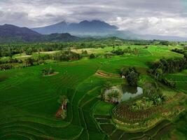 hermosa Mañana ver desde Indonesia de montañas y tropical bosque foto